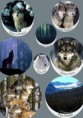 /album/illusztraciok/wolves-in-circles-jpg/